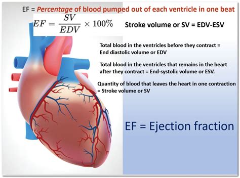 left ventricular volume fraction